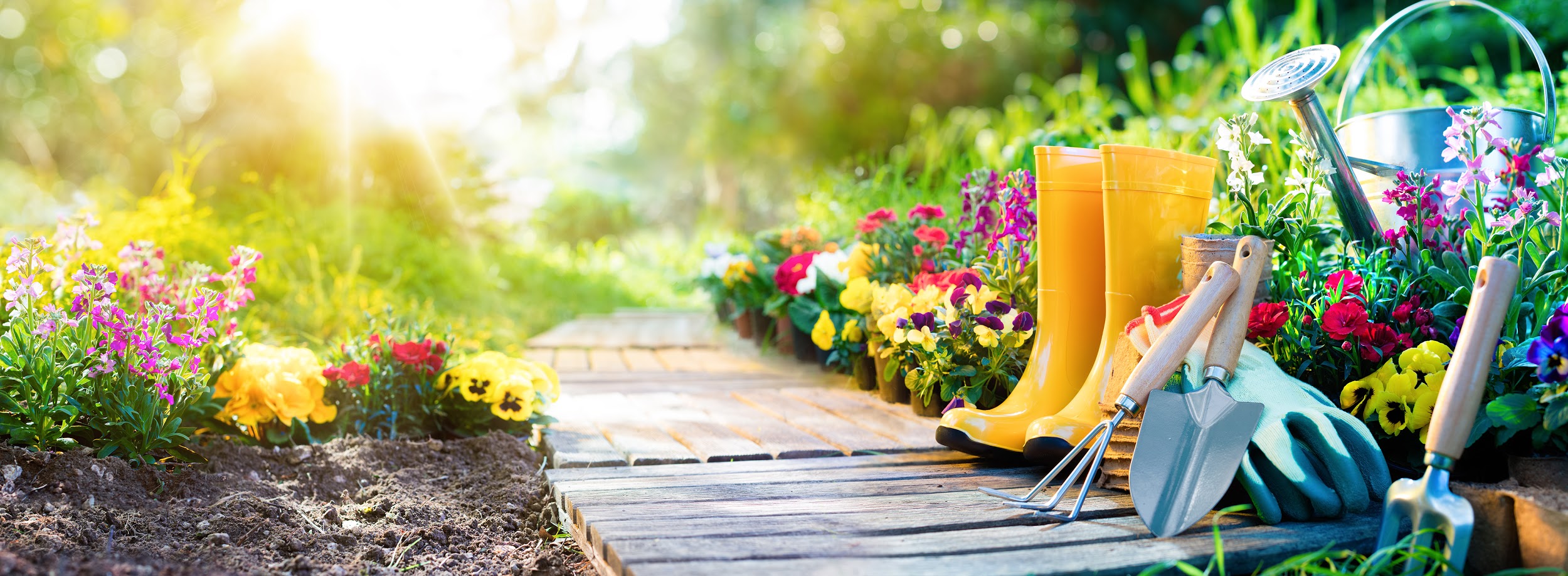 gardening tools in sunny garden