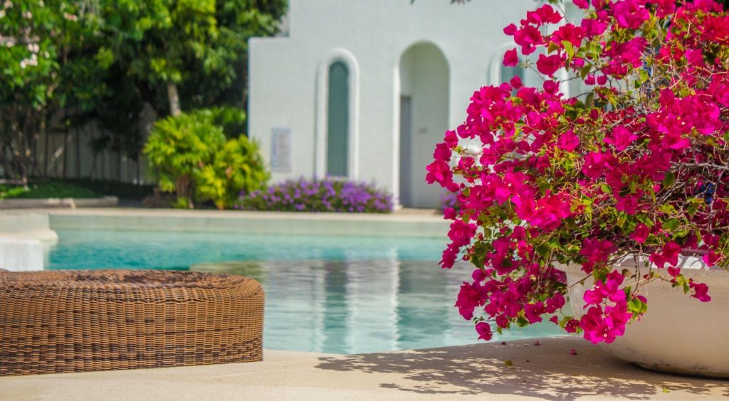 Sunbathing lounger swimming pool side and flower pot on summer.