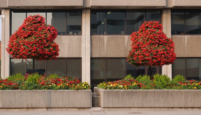 colorful landscaping outside an office building