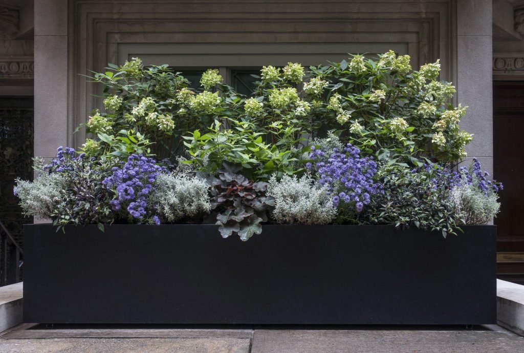 Planter Box with Purple, White, and Green Flowers